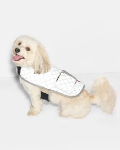 Medium MZW Dog Coat