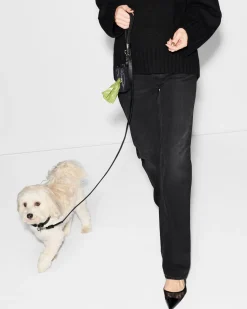MZW Dog Leash