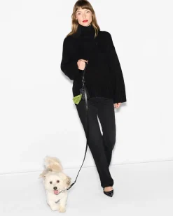MZW Dog Leash